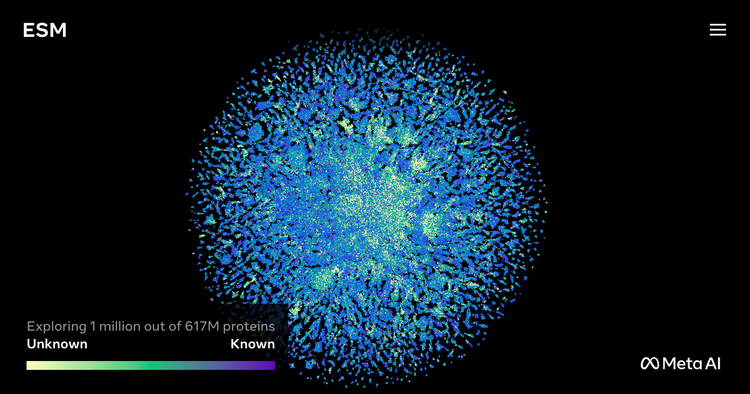 ESM-2 protein language model visualization