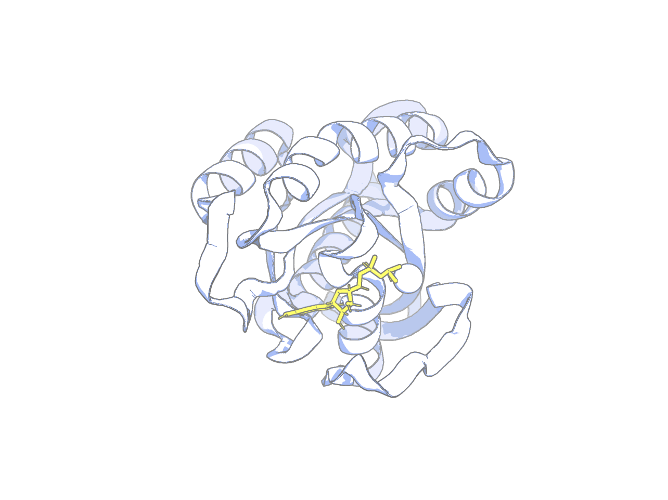Cartoon of the H-Ras 121P protein structure